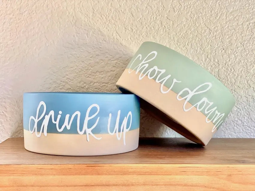 Custom Dog Bowl Painting Tutorial Tulip Color Crafts