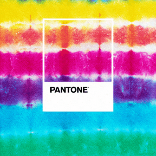 Peach Fuzz 131023 Pantone Color of the Year 2025 Tulip Color Crafts