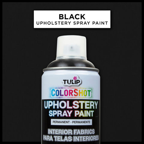 Picture of 37146 ColorShot Interior Black Picture of 37146 ColorShot Interior Black