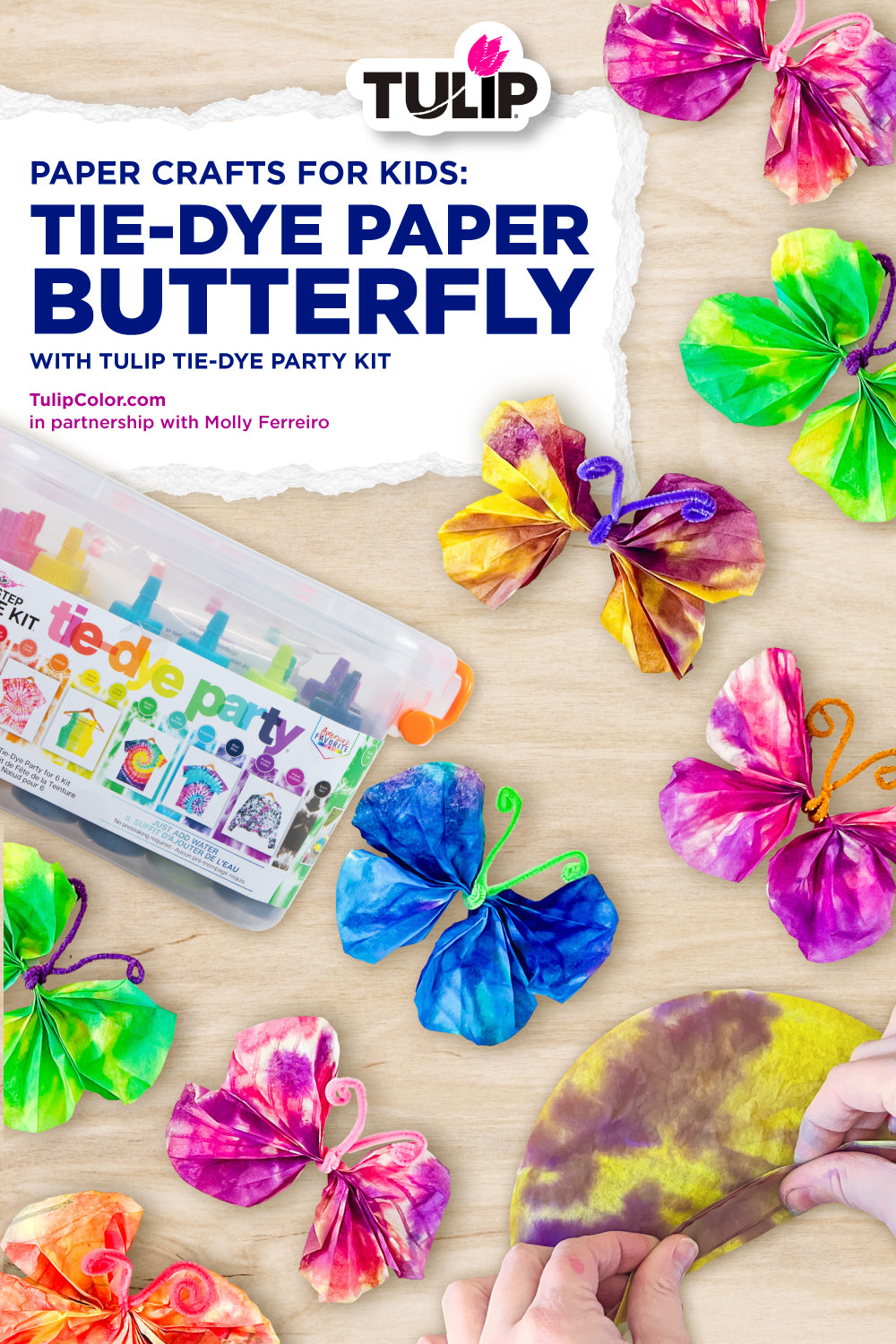 Tulip Color Crafts