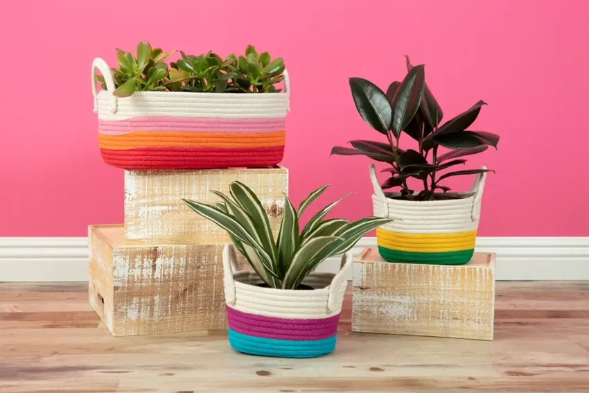 Picture of DIY Painted Rope Baskets