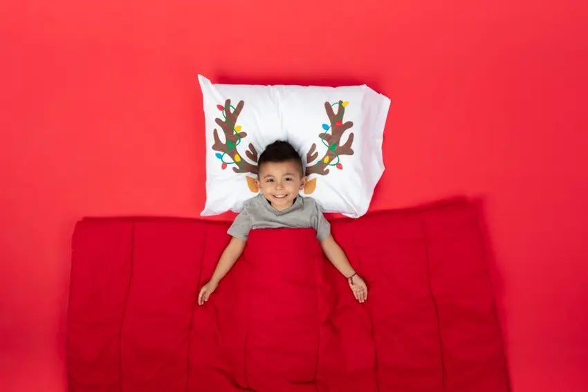 Picture of DIY Reindeer Pillowcase