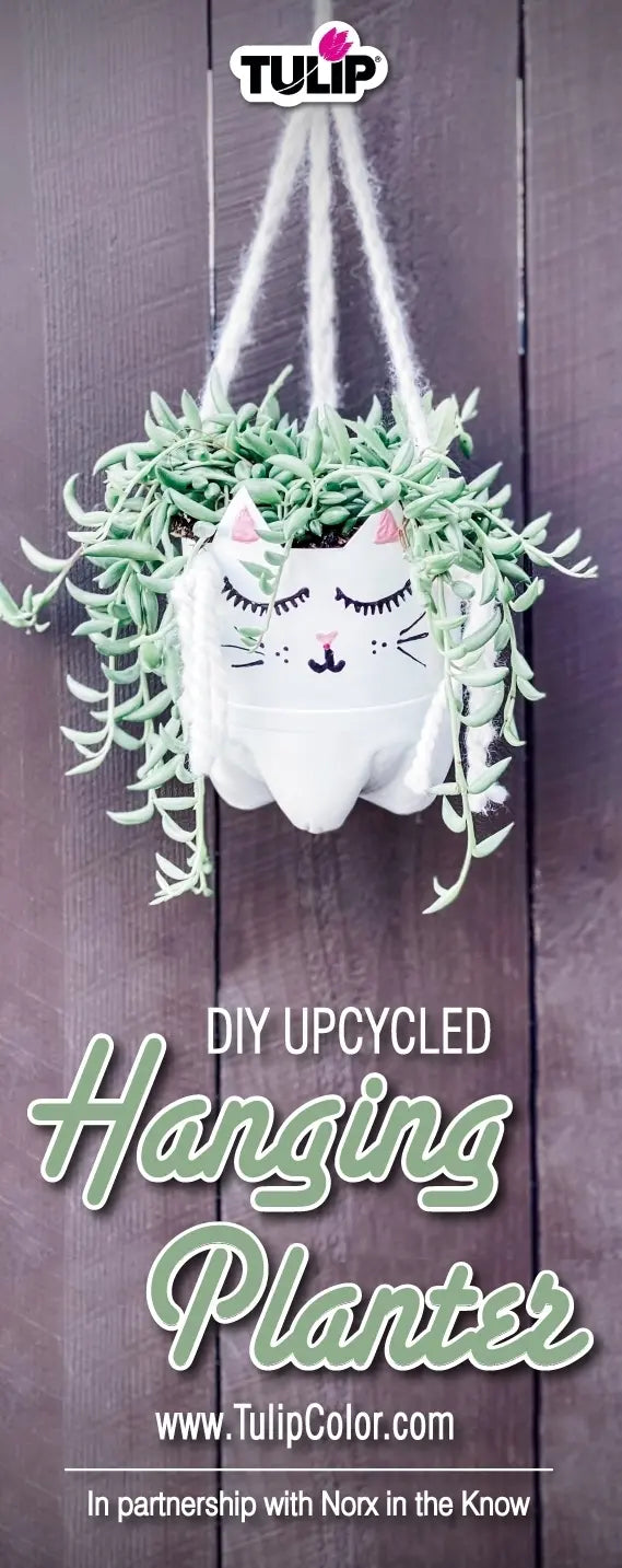 Upcycle Project: DIY Hanging Planter