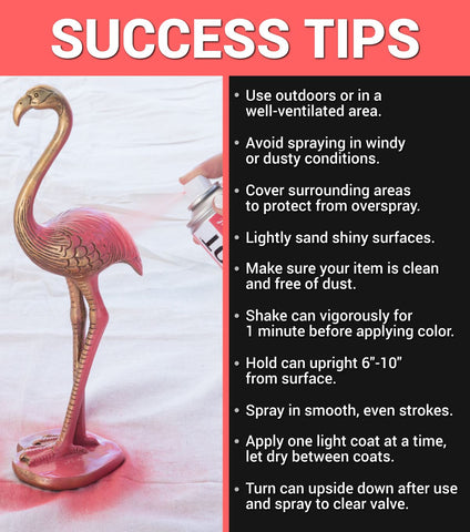 Picture of 48279 COLORSHOT Gloss Spray Paint Summer Pedicure (Coral) 10 oz.