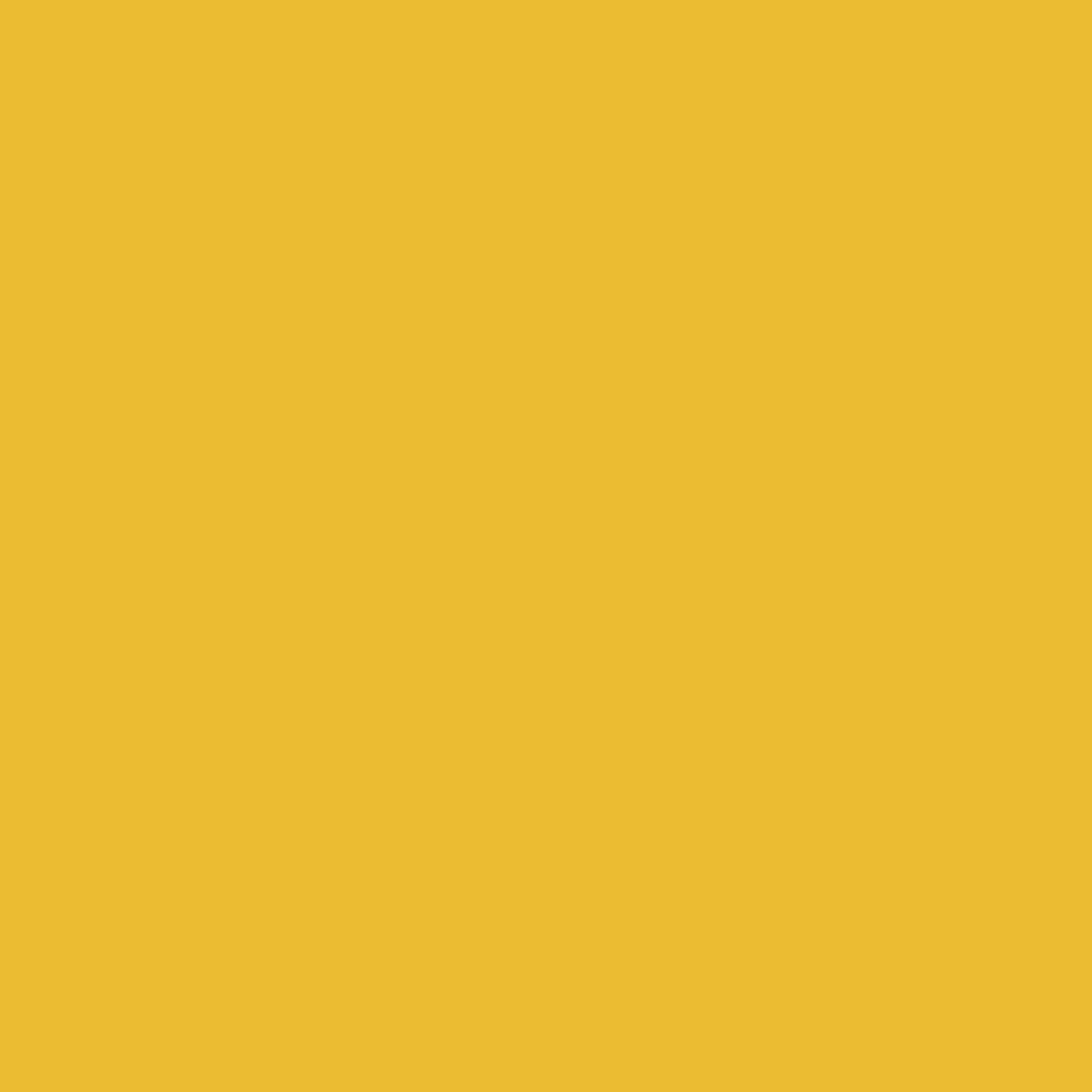 Picture of 42737 Tulip® Permanent Fabric Dye Sunshine