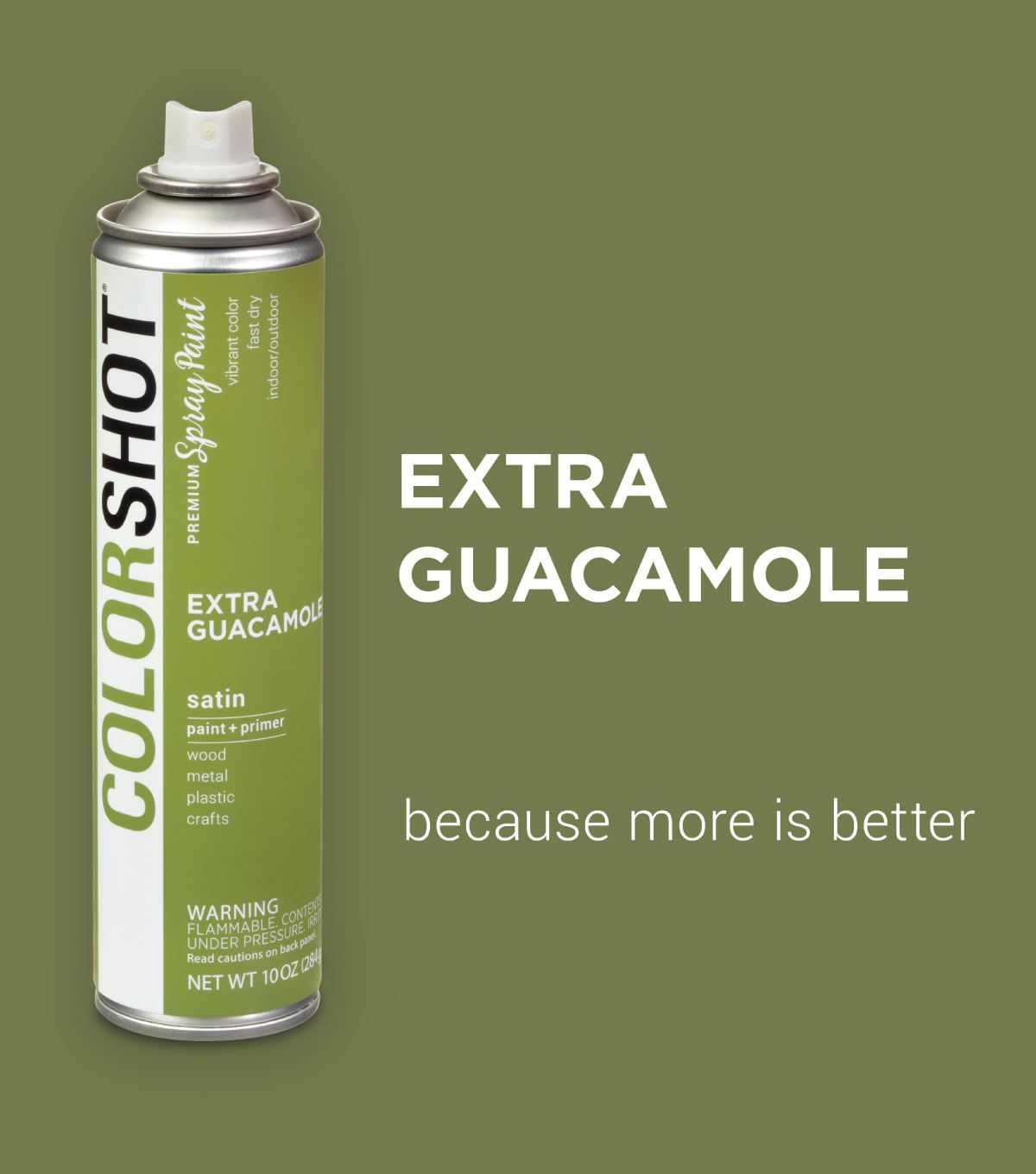 Picture of 48284 COLORSHOT Satin Spray Paint Extra Guacamole (Olive) 10 oz.