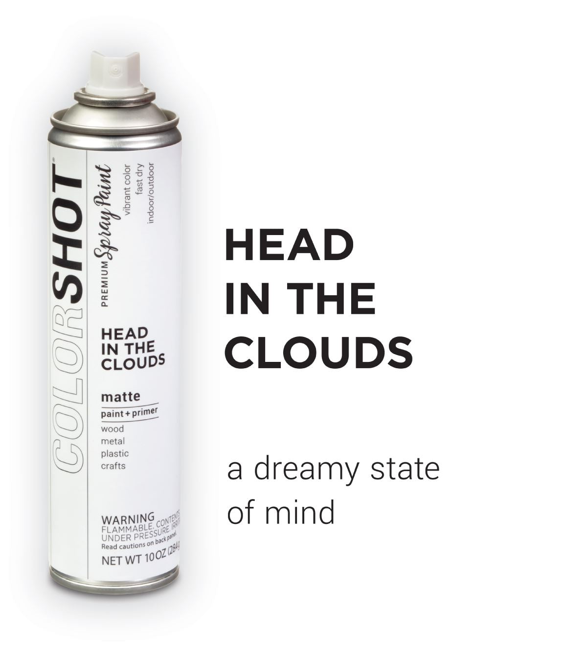 Picture of 48306 COLORSHOT Matte Spray Paint Head in the Clouds (White) 10 oz.