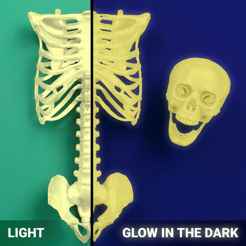 Picture of 49535 COLORSHOT Glow in the Dark Spray Paint Lightning Bug (Natural Glow) 8 oz.