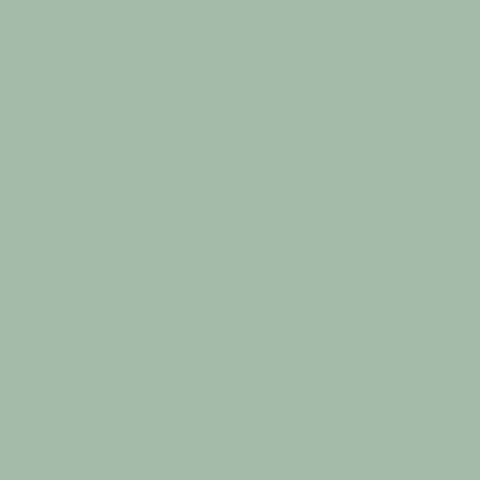 Picture of 48593 Tulip Fabric Dye Pod Dirty Martini (green)