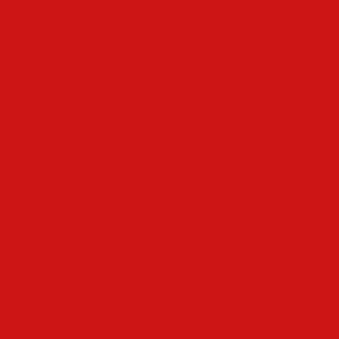 Picture of 37988 ColorShot Outdoor Fabric Upholstery Spray Red 4 Pack