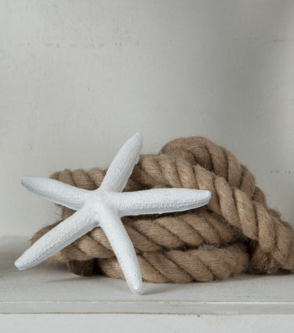 Picture of 48305 COLORSHOT Satin Spray Paint Sugarcoat It (White) 10 oz.