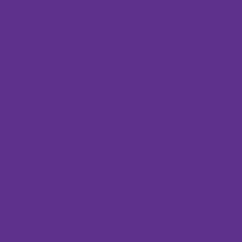 Tulip Permanent Fabric Dye Purple