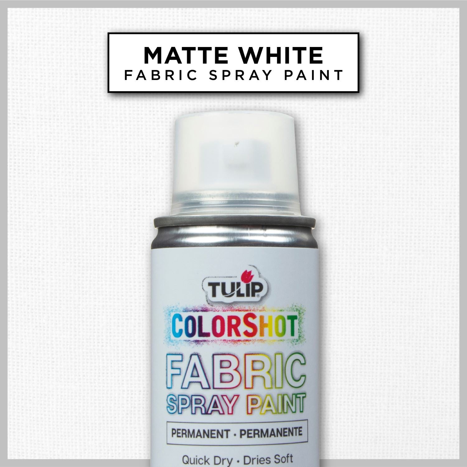 Tulip Color Shot Instant Fabric Color Spray 3Oz-Silver Glitter